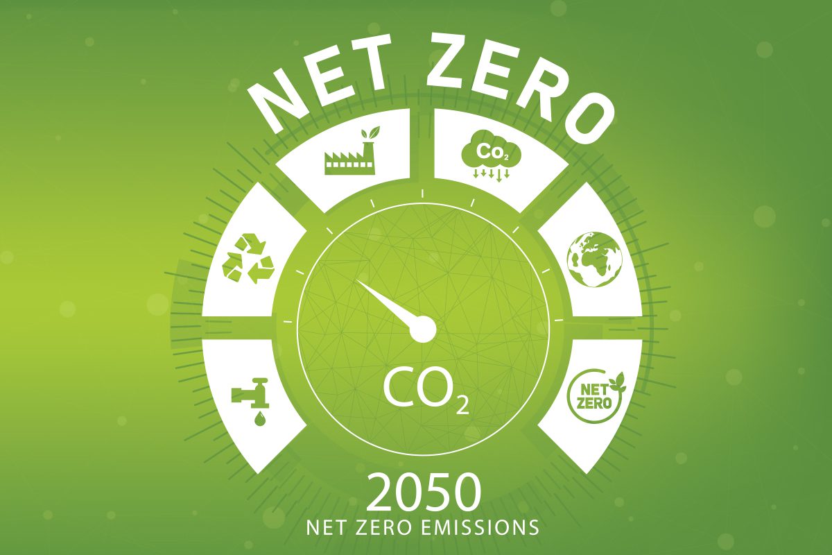 Net Zero 2050 Energy Transition Consulting Company Net Zero 2050 Energy Transition Consulting Company